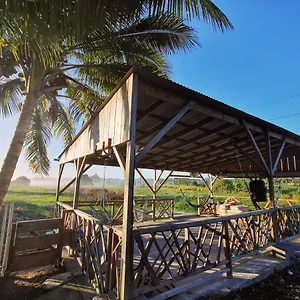 Ride In Youth And Surf Center Hostel Morne-a-l'Eau